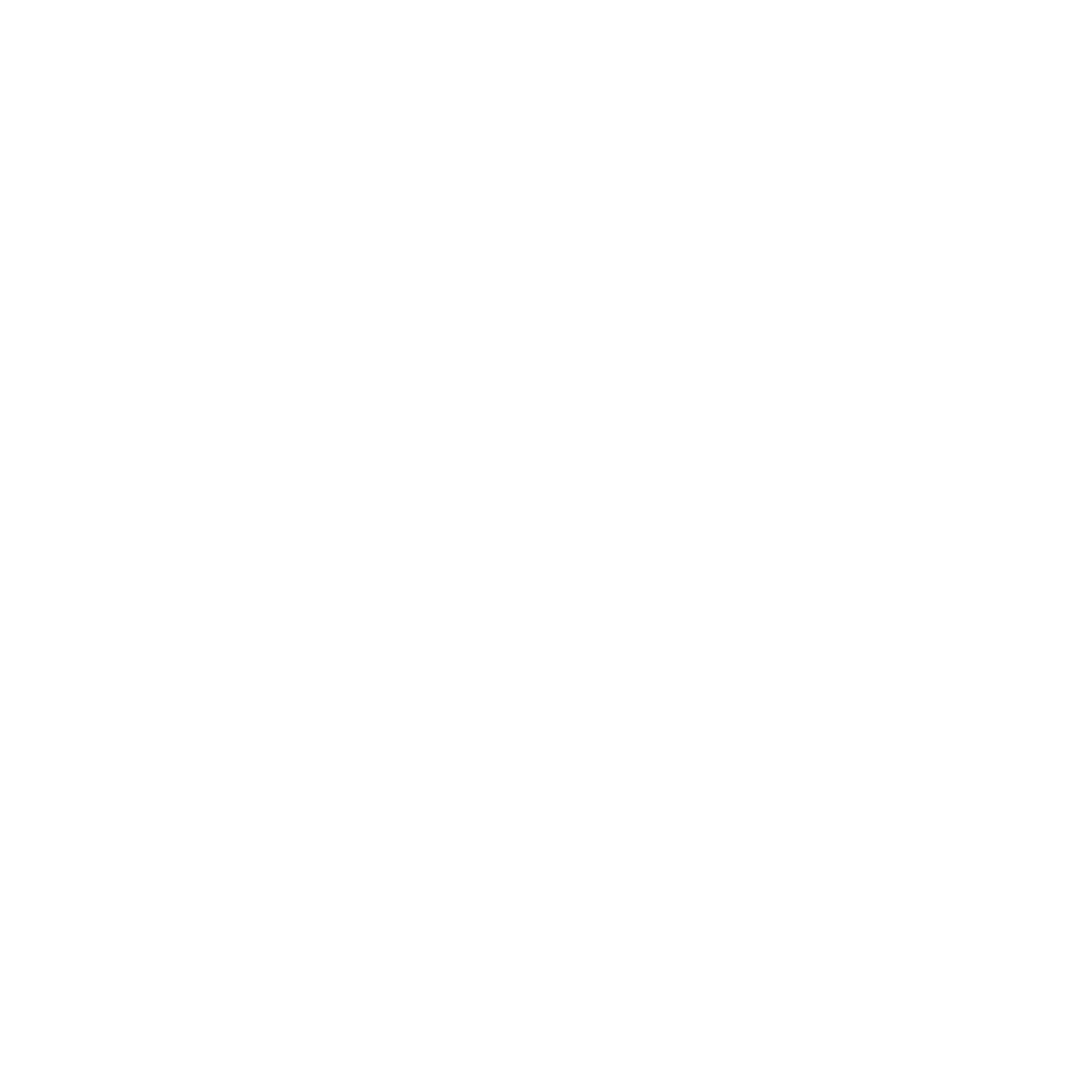 Logo 4Ride
